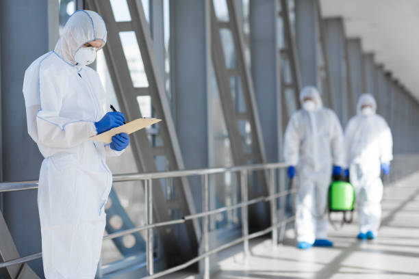 Best Black Mold Removal  in Picacho Hills, NM