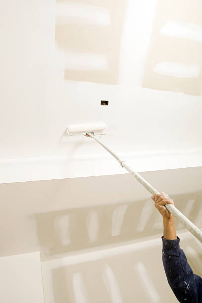 Best Mold Documentation for Insurance Claims  in Picacho Hills, NM