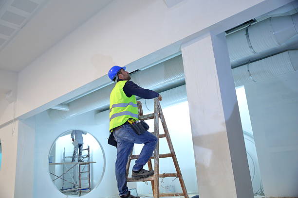 Reliable Picacho Hills, NM Mold Removal Solutions